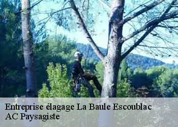 Entreprise élagage  44500