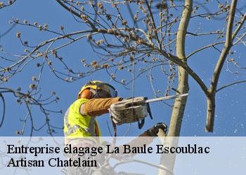 Entreprise élagage  la-baule-escoublac-44500 Artisan Chatelain 