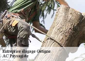 Entreprise élagage getigne-44190 AC Paysagiste