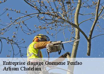 Entreprise élagage guemene-penfao-44290 Artisan Chatelain