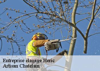 Entreprise élagage  heric-44810 Artisan Chatelain 