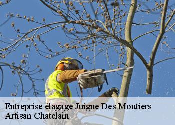 Entreprise élagage  juigne-des-moutiers-44670 Artisan Chatelain 