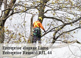 Entreprise élagage  ligne-44850 Entreprise Reinard RJL 44