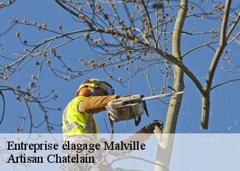 Entreprise élagage  malville-44260 Artisan Chatelain 