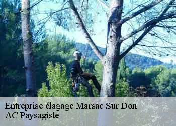 Entreprise élagage 44170