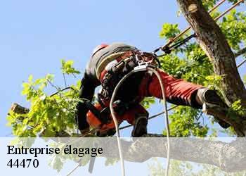 Entreprise élagage