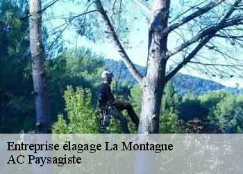 Entreprise élagage 44620