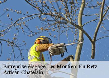 Entreprise élagage  les-moutiers-en-retz-44580 Artisan Chatelain 
