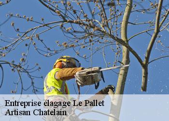 Entreprise élagage  le-pallet-44330 Artisan Chatelain 