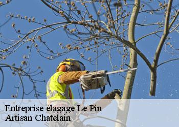 Entreprise élagage le-pin-44540 Artisan Chatelain