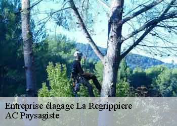 Entreprise élagage 44330