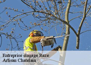 Entreprise élagage reze-44400 Artisan Chatelain