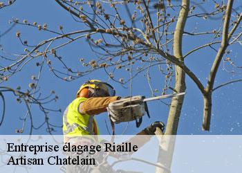 Entreprise élagage riaille-44440 Artisan Chatelain