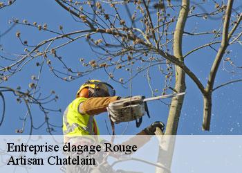 Entreprise élagage  rouge-44660 Artisan Chatelain 
