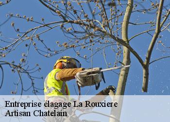Entreprise élagage la-rouxiere-44370 Artisan Chatelain