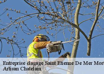 Entreprise élagage  saint-etienne-de-mer-morte-44270 Artisan Chatelain 