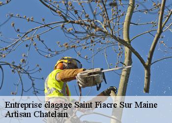 Entreprise élagage  saint-fiacre-sur-maine-44690 Artisan Chatelain 