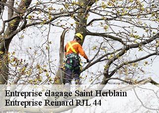 Entreprise élagage  saint-herblain-44800 Entreprise Reinard RJL 44