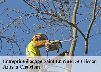 Entreprise élagage saint-lumine-de-clisson-44190 Artisan Chatelain