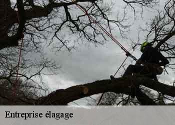 Entreprise élagage  44730
