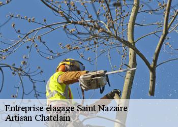 Entreprise élagage  saint-nazaire-44600 Artisan Chatelain 