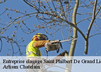 Entreprise élagage saint-philbert-de-grand-lieu-44310 Artisan Chatelain