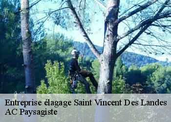 Entreprise élagage 44590