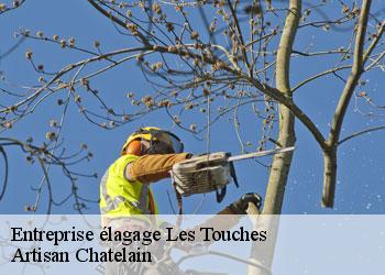Entreprise élagage  les-touches-44390 Artisan Chatelain 