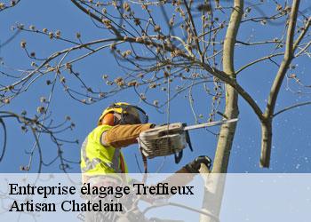 Entreprise élagage  treffieux-44170 Artisan Chatelain 