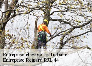 Entreprise élagage  la-turballe-44420 Entreprise Reinard RJL 44