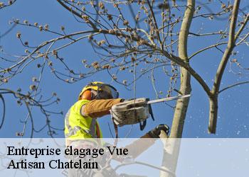 Entreprise élagage vue-44640 Artisan Chatelain