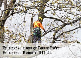 Entreprise élagage  basse-indre-44610 Entreprise Reinard RJL 44