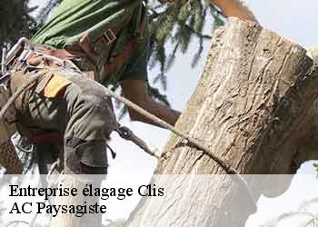 Entreprise élagage clis-44350 AC Paysagiste