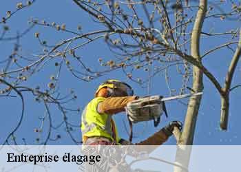 Entreprise élagage