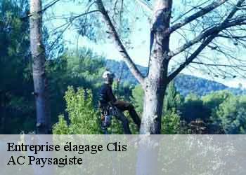 Entreprise élagage 44350