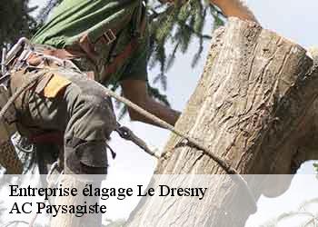 Entreprise élagage le-dresny-44630 AC Paysagiste