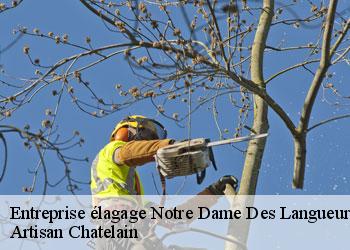 Entreprise élagage notre-dame-des-langueurs-44440 Artisan Chatelain