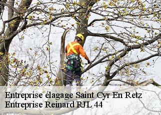 Entreprise élagage  saint-cyr-en-retz-44580 Entreprise Reinard RJL 44