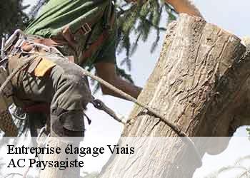 Entreprise élagage viais-44860 AC Paysagiste