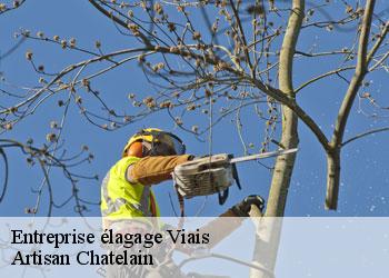 Entreprise élagage viais-44860 Artisan Chatelain