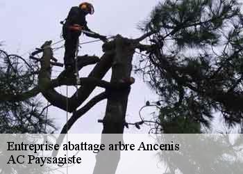 Entreprise abattage arbre 44150