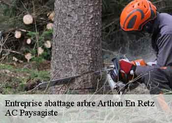 Entreprise abattage arbre  arthon-en-retz-44320 AC Paysagiste