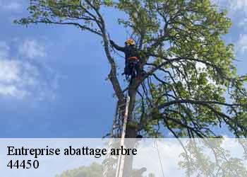 Entreprise abattage arbre 44450