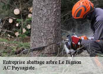 Entreprise abattage arbre le-bignon-44140 AC Paysagiste