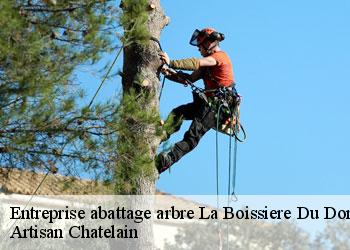 Entreprise abattage arbre  la-boissiere-du-dore-44430 Artisan Chatelain 