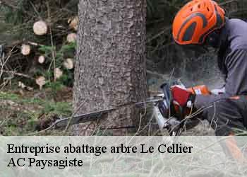 Entreprise abattage arbre le-cellier-44850 AC Paysagiste