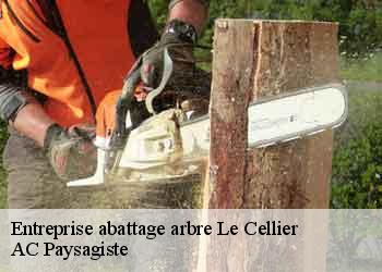 Entreprise abattage arbre