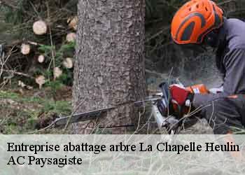 Entreprise abattage arbre  la-chapelle-heulin-44330 AC Paysagiste