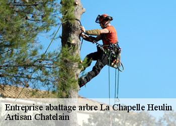Entreprise abattage arbre  la-chapelle-heulin-44330 Artisan Chatelain 
