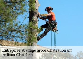 Entreprise abattage arbre  chateaubriant-44110 Artisan Chatelain 